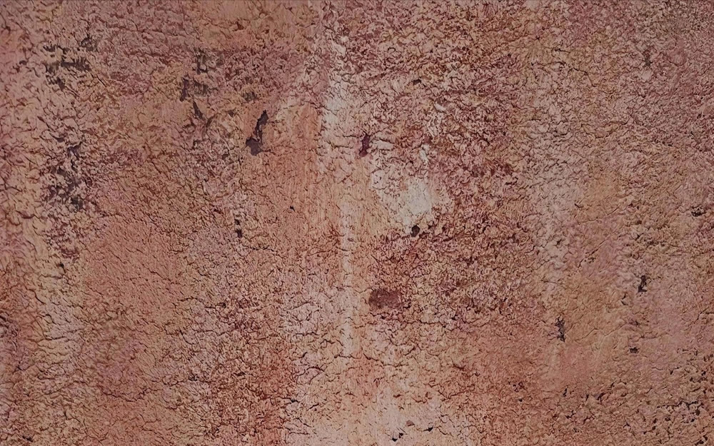 wall decor - TRUFFE VELOUR  
